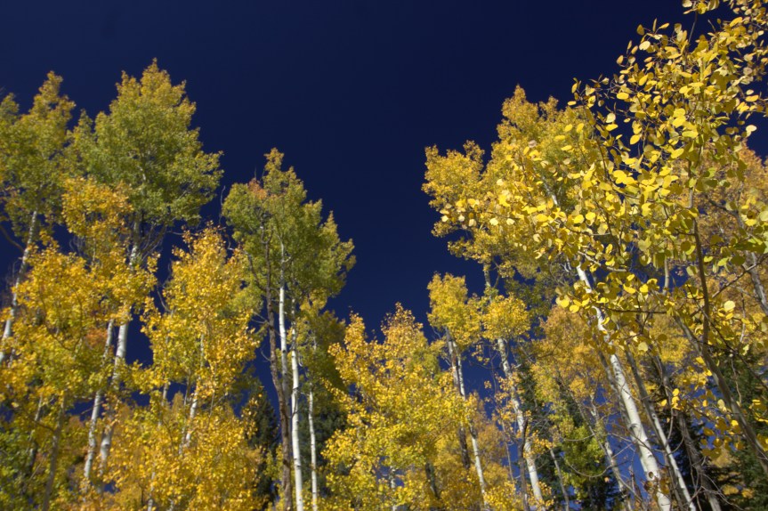 And Just Like&nbsp;That